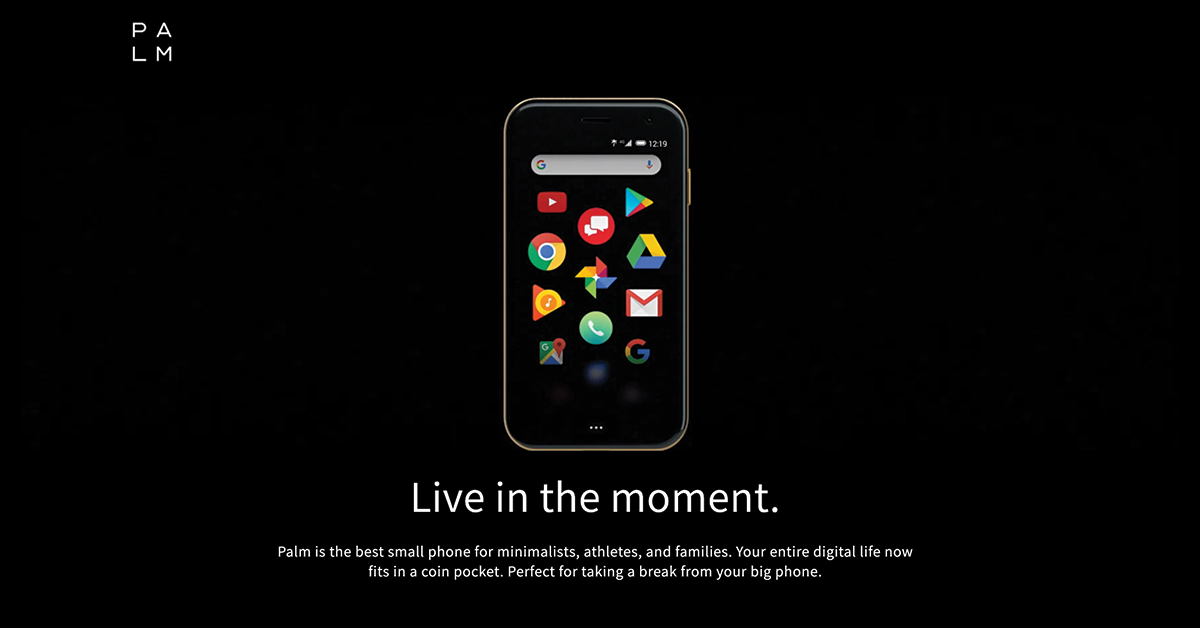 Palm | Live in the moment.