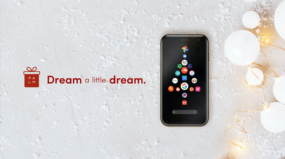 Dream a Little Dream with Palm this Holiday
